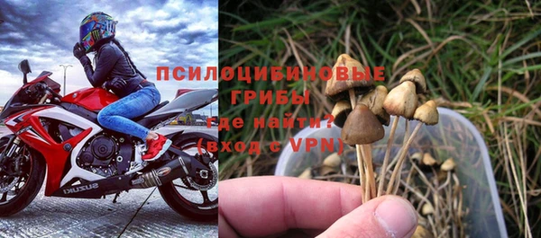 ешки Алзамай