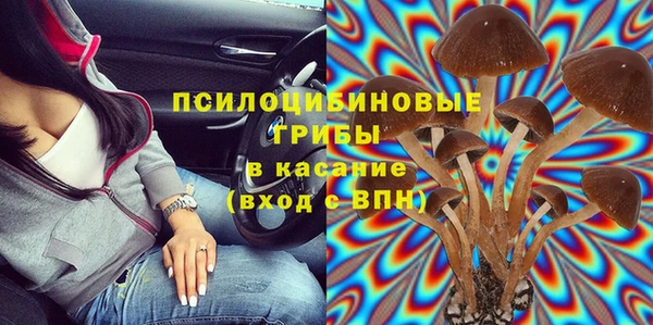 ешки Алзамай