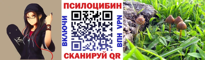 Псилоцибиновые грибы ЛСД  MEGA tor  Кореновск 