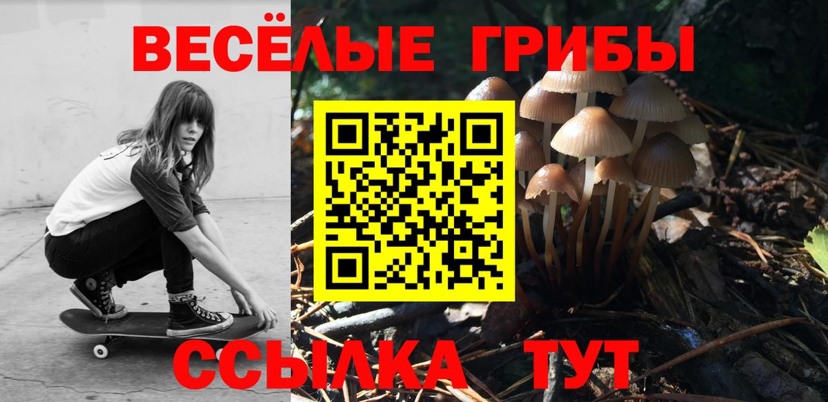 Псилоцибиновые грибы Psilocybe Кореновск
