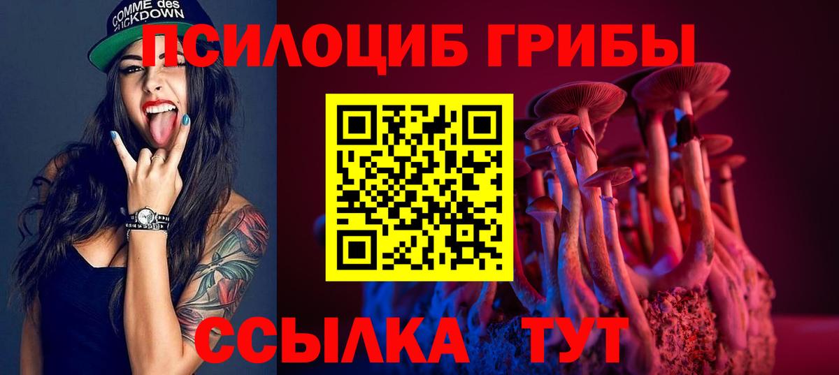 Псилоцибиновые грибы Psilocybe  Галлюциногенные грибы Psilocybe  Кореновск  Вход с VPN 